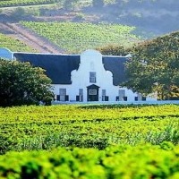 51 on Camps Bay winelands
